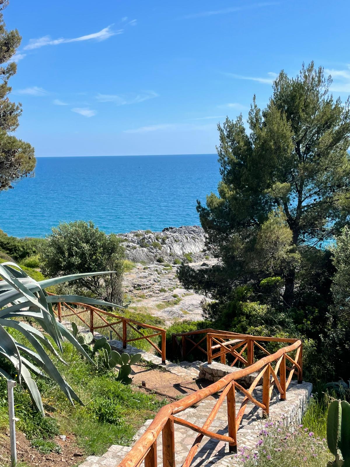Sentiero panoramico del Cilento affacciato sul mare
