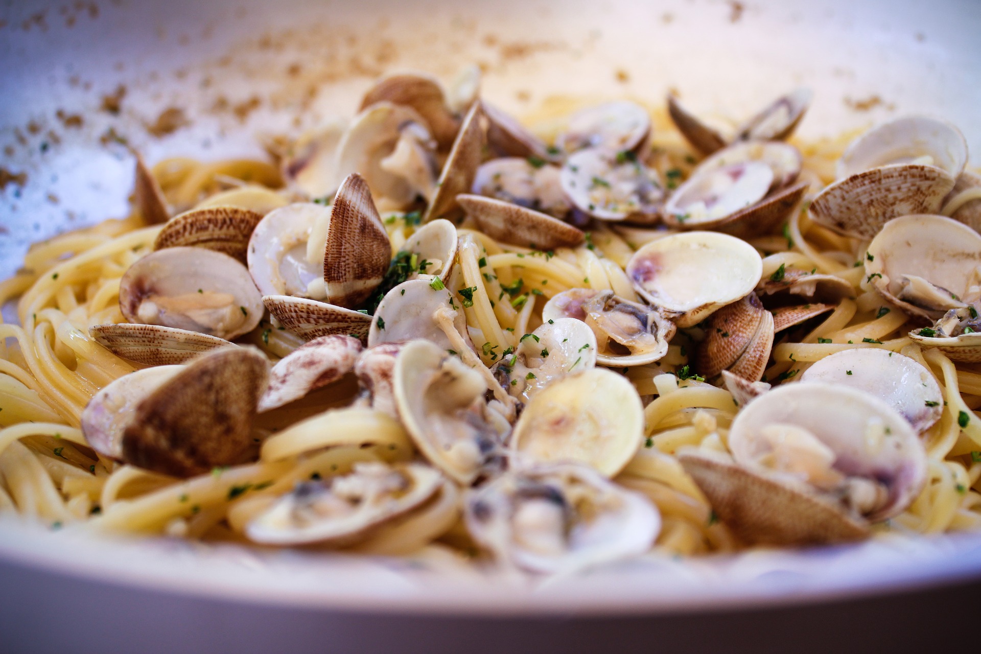 Pasta ai frutti di mare e sapori della cucina mediterranea nel Cilento